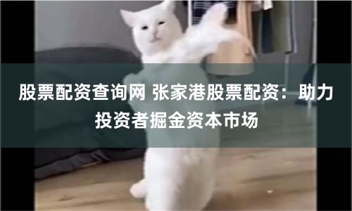 股票配资查询网 张家港股票配资：助力投资者掘金资本市场