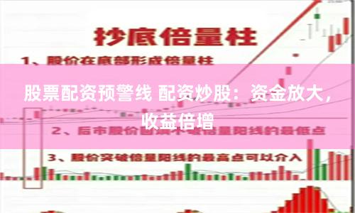 股票配资预警线 配资炒股:资金放大,收益倍增